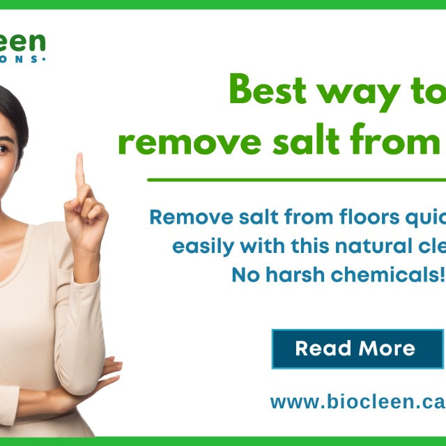 Best way to remove salt from floors