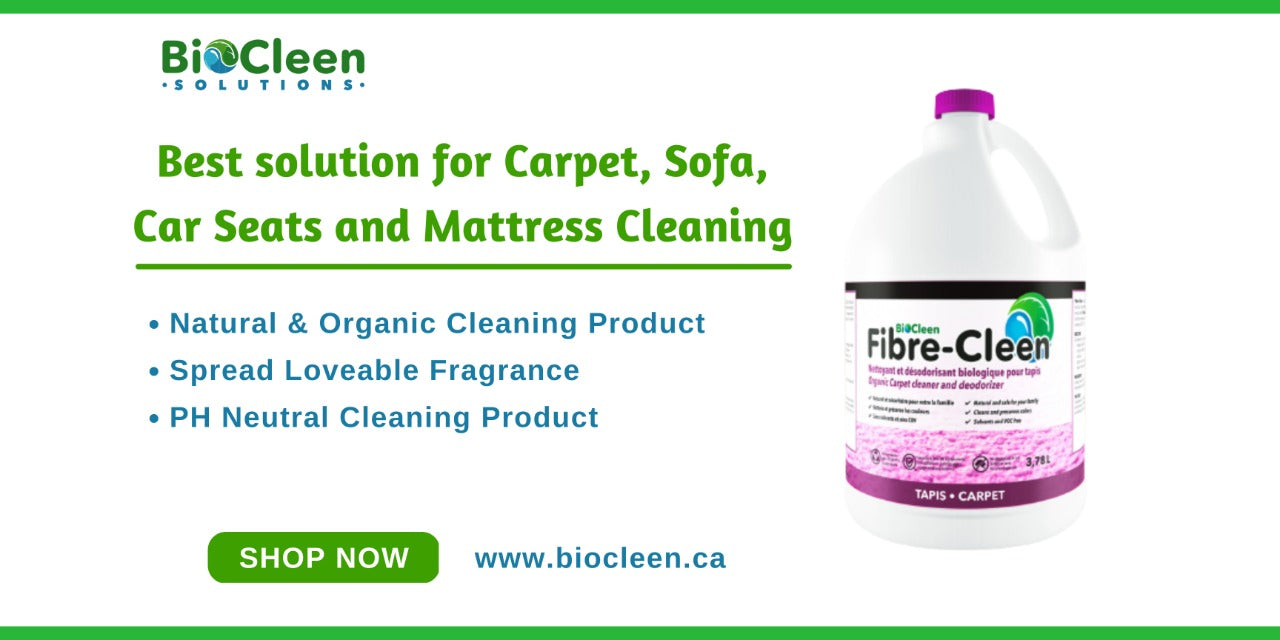 Best solution for Carpet, Sofa, Car Seats and Mattress Cleaning