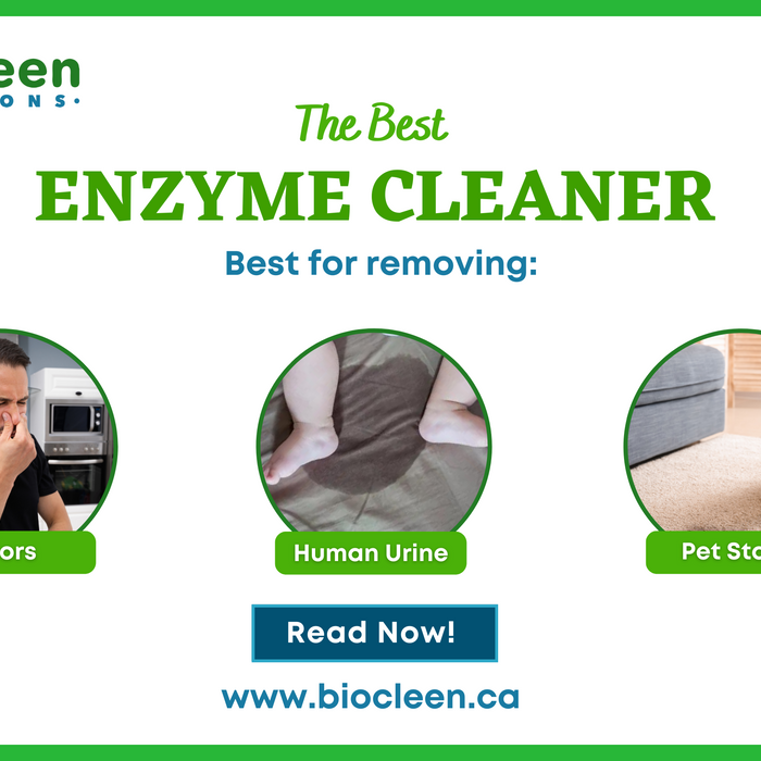 Best enzyme cleaner for pet stains, odors and human urine