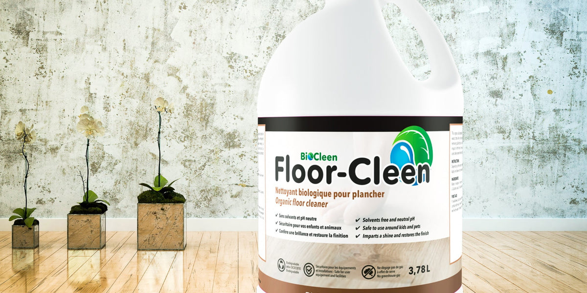 Best Floor Mat Cleaner for 2024 - The Jerusalem Post
